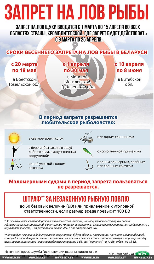 Закон о запрете рыбалки в нерест Закон о запрете рыбалки в нерест
