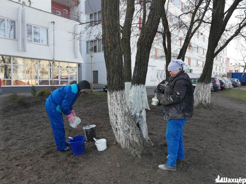 Работники ЗАО «Калинка» приняли участие в субботнике