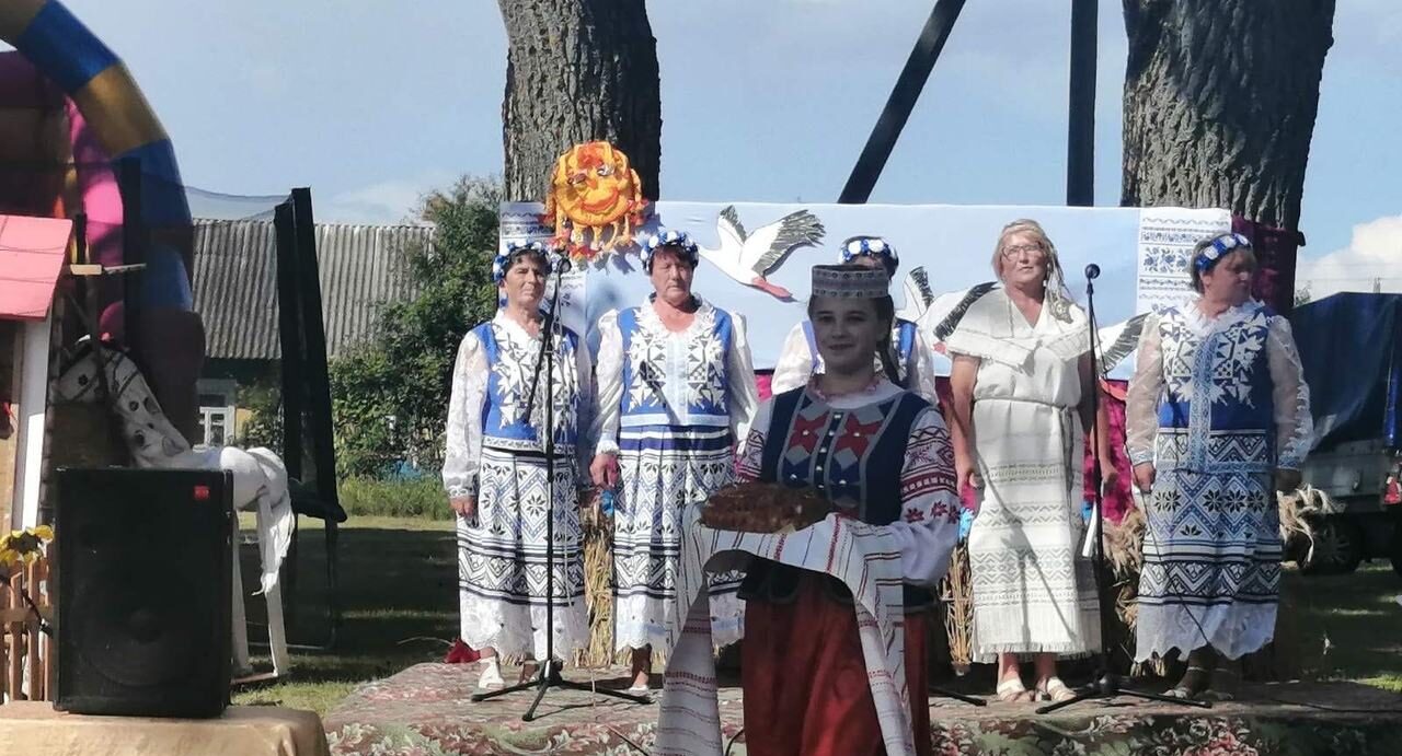 В Большом Рожане отмечали  день  деревни