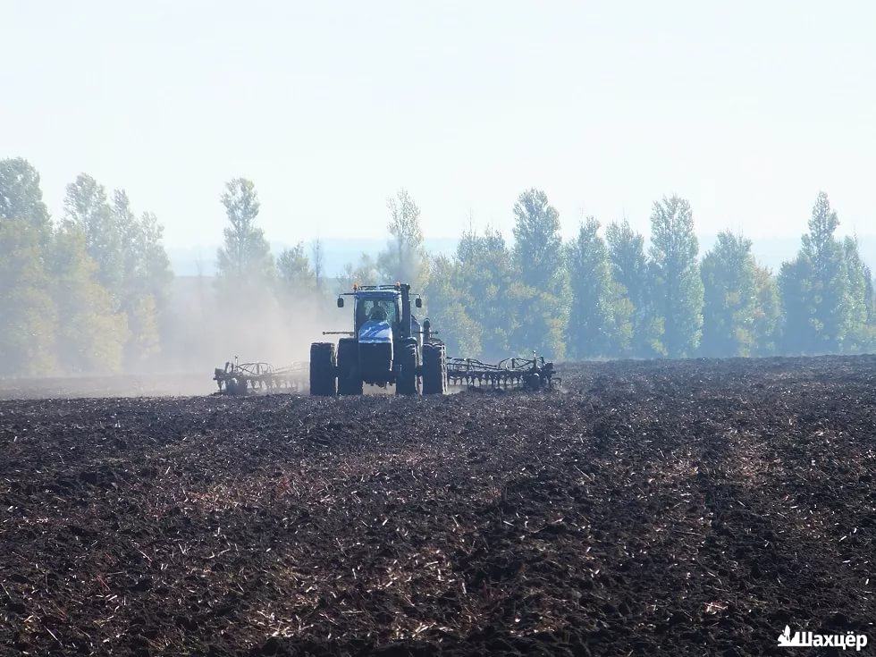 Госконтроль Минщины: в ходе посевной выявлены нарушения