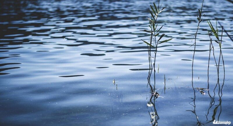 Жертва воды. В водоеме д. Залесье утонул сельчанин