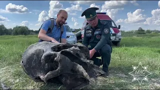 Белорусские водолазы нашли останки мамонта