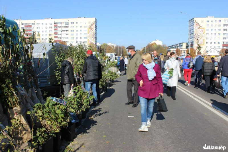 Когда в Солигорске пройдет региональная ярмарка