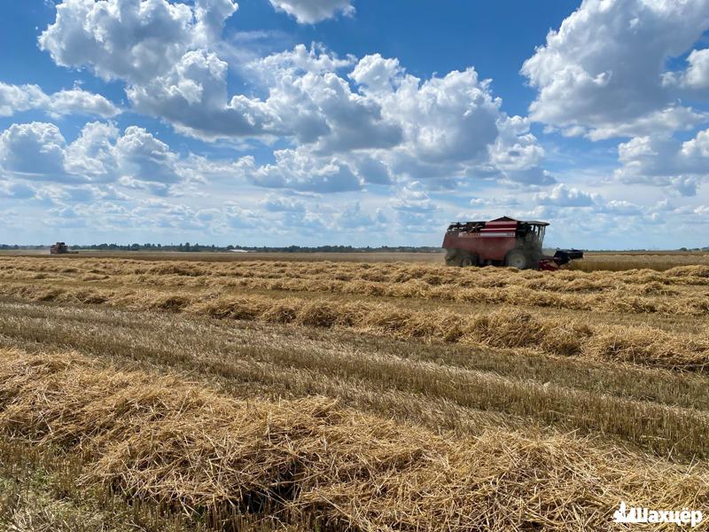 Цифра дня: на Солигорщине намолочено 50 953 тонны